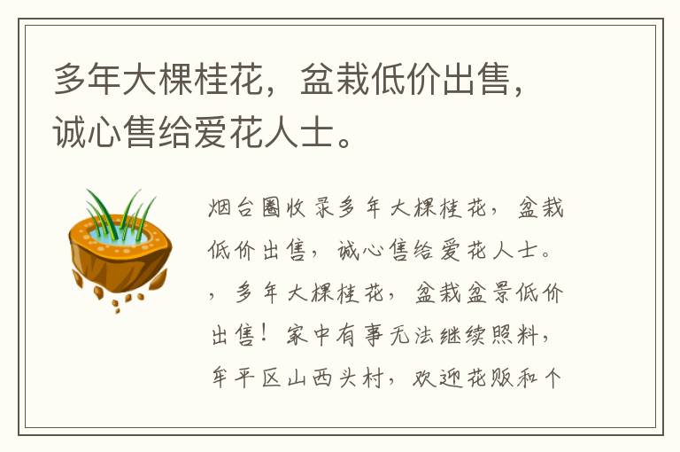 多年大棵桂花，盆栽低價出售，誠心售給愛花人士。