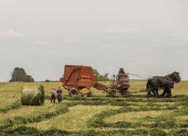 MySpeed
开箱即用的网速测试工具