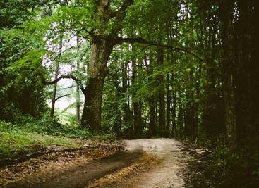 frp 是一个专注于内网穿透